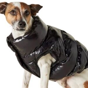 BNWOT! Little Beast Black Dog Puffer Jacket